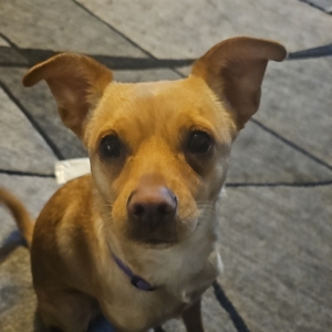 Fundraising Page: Leah Sommerlot